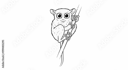 Small primate with huge eyes clinging to a branch