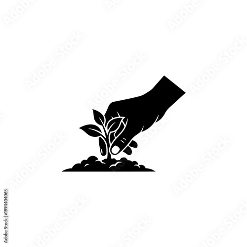 Hand holding a small plant with roots ready for planting
