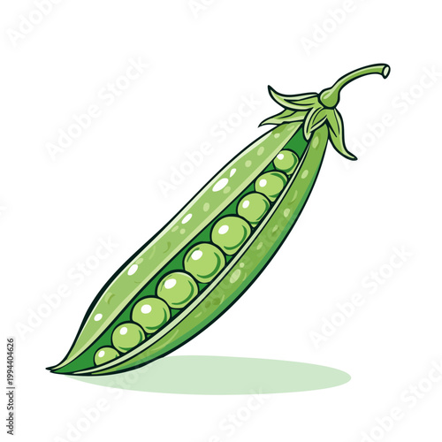 Fresh Green Pea Pod with Seeds Vector Illustration