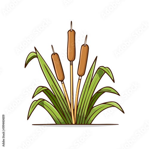 Illustration of cattails with green leaves against a white background, symbolizing nature and wetlands