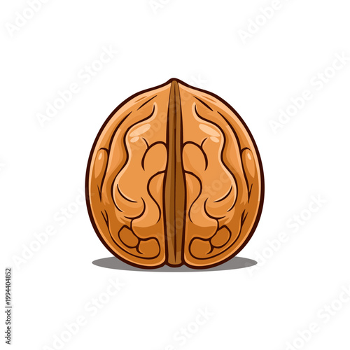 Detailed Illustration of a Single Walnut Half with Intricate Texture