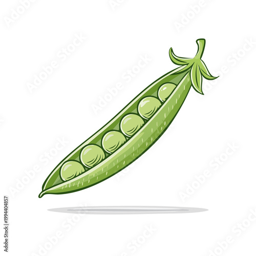 Hand drawn illustration of an open pea pod filled with fresh green peas