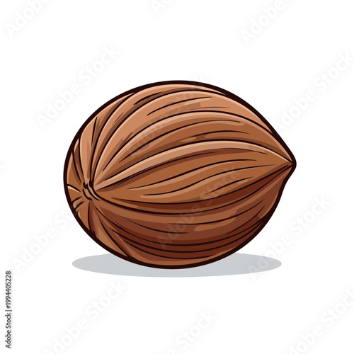 Nutmeg Spice Seed Brown Oval Shaped Whole Natural Food Ingredient Ingredient