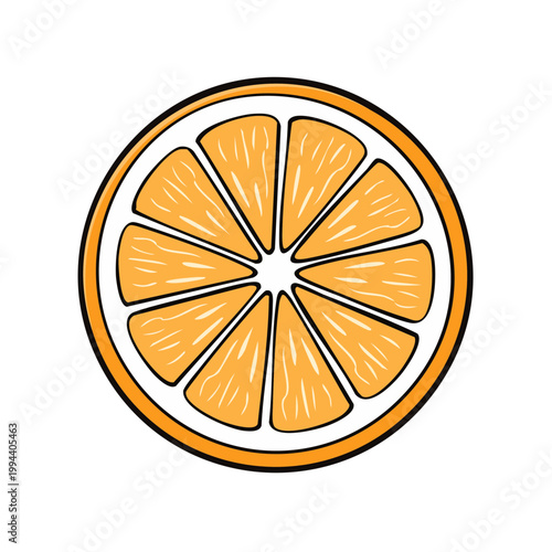 Bright orange slice illustration with segmented juicy pulp and white pith