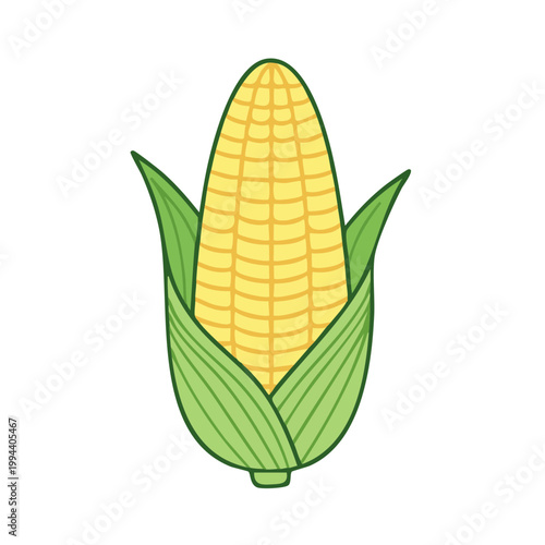 Fresh yellow corn cob with green husks isolated on white background
