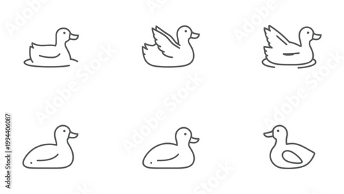 Duck Icons: A set of simple, elegant line art icons depicting ducks in various poses, offering a versatile visual resource for design and communication.