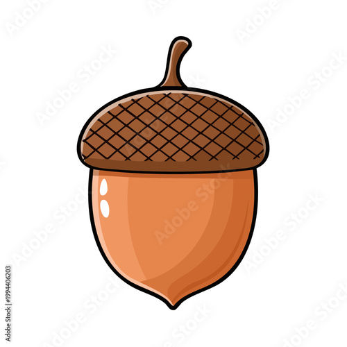 Cartoon acorn with textured cap and smooth brown body isolated on white