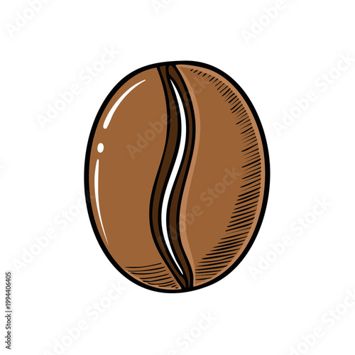 Simple Hand Drawn Brown Coffee Bean with Sliced Detail Illustration