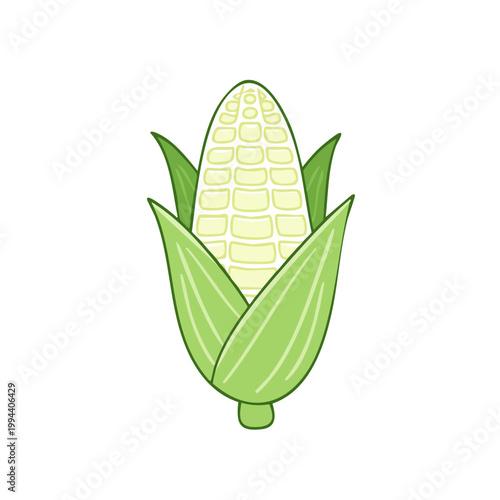 Single fresh corn cob with green husks and white kernels in a stylized illustration