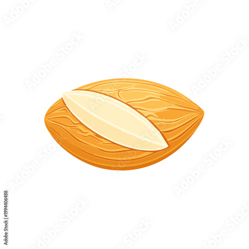 Close up of an almond nut with its shell partially removed revealing the seed inside