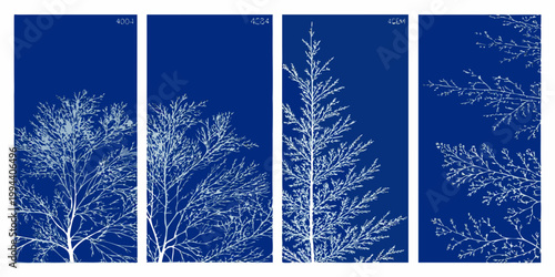 Abstract triptych depicting pale tree branches against a dark blue background