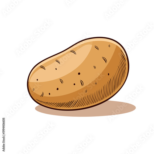 Simple illustration of a single potato with a brown skin and dark eyes