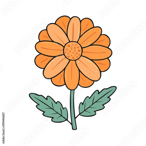 Simple illustration of a bright orange daisy with green leaves and stem on a white background
