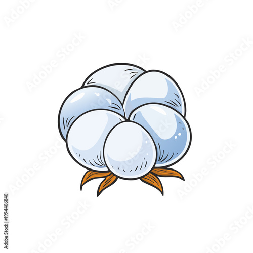 Stylized illustration of a fluffy white cotton boll with brown stem elements