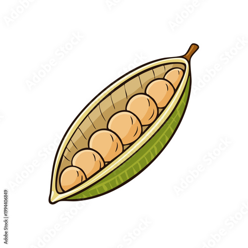 Open green pea pod with light brown peas inside on a white background isolated illustration