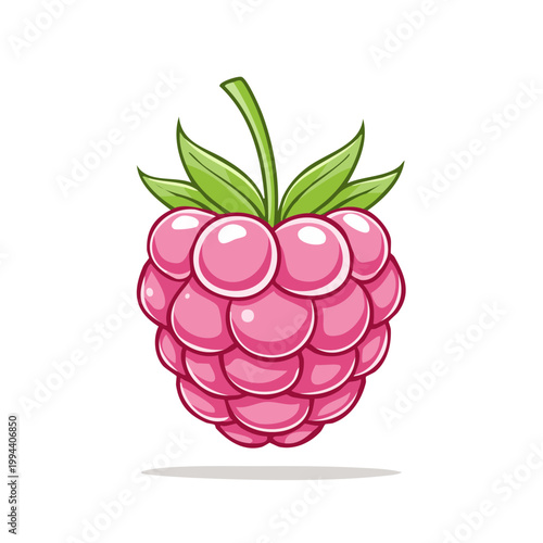Vibrant Pink Raspberry Fruit with Green Leaves and Stem