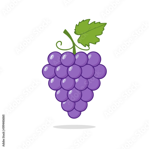 Vibrant purple grapes with a green leaf and curly stem illustration