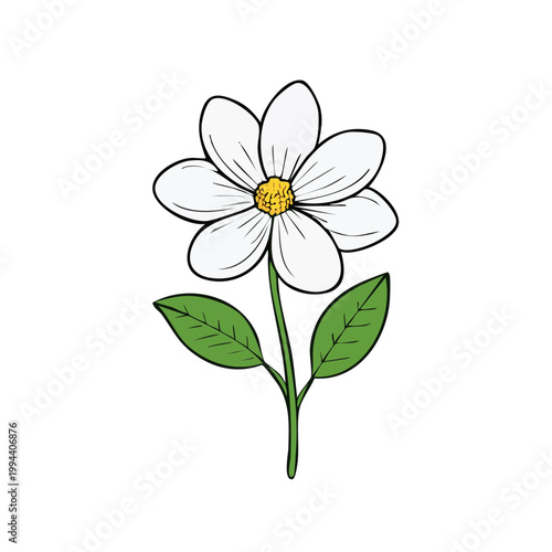 Simple hand-drawn white daisy with green leaves on a stem