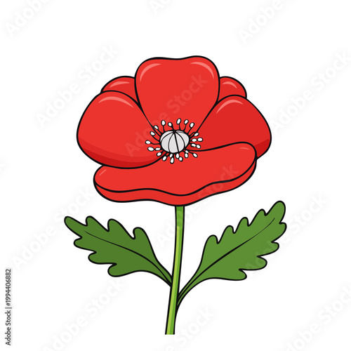 Vibrant Red Poppy Flower with Green Leaves and Stem