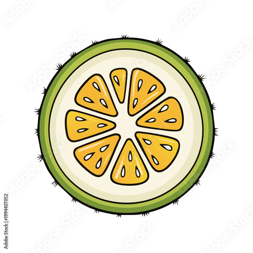 Fresh kiwano fruit slice top view with juicy segments and spiky green rind