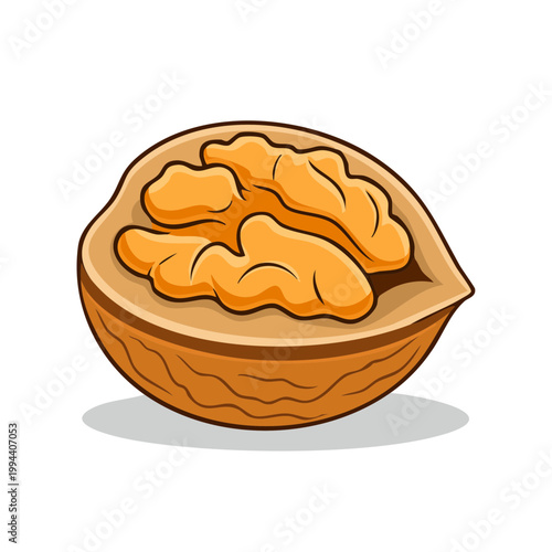 Half Open Walnut with Golden Kernels Healthy Food Ingredient Illustration