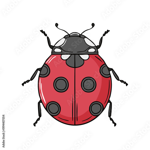 Isolated Red Ladybug Insect with Black Spots and Antennae Detailed Illustration