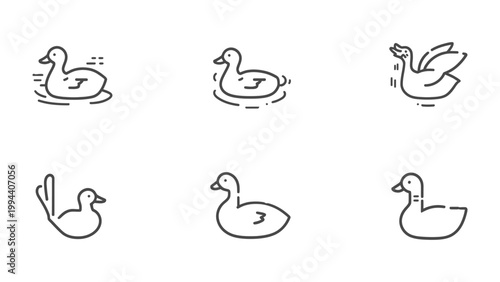 Elegant Duck Icon Set: A minimalistic collection of stylized duck icons, perfect for web design and branding, showcasing versatility and charm.