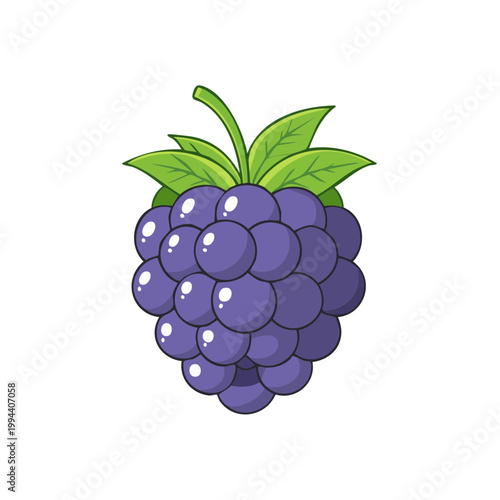 Juicy Purple Blackberry Fruit with Green Leaves Vector Illustration