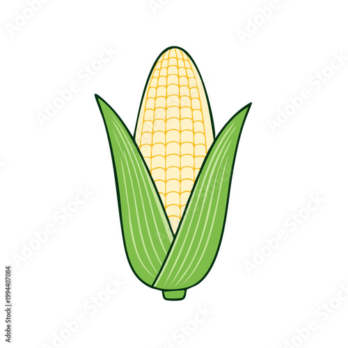 Simple Illustration of a Fresh Ear of Corn with Green Husks
