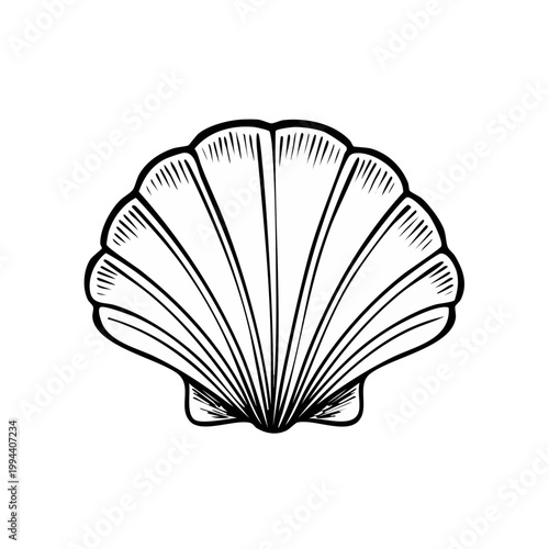 Artistic Outline of a Seashell with Radial Ribs