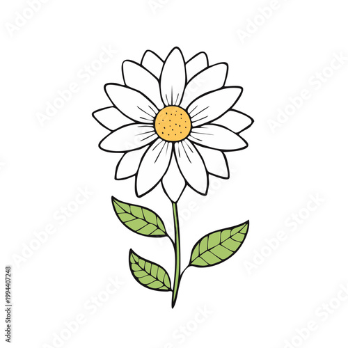 Simple hand drawn daisy flower with green leaves and stem line art