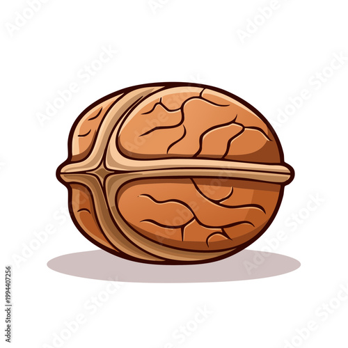 Illustration of a whole walnut with detailed texture and shading