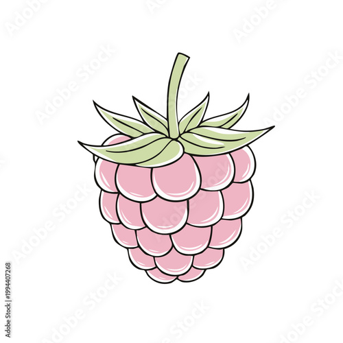 Single pink raspberry illustration with green leaves and stem
