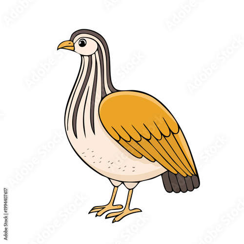 Cartoon Chukar Partridge Bird Standing Proudly Isolated Illustration