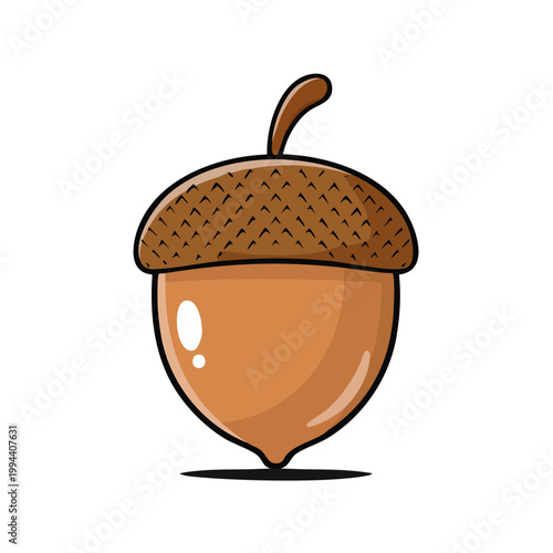 Cartoon Acorn Isolated Illustration Simple Woodland Seed Nut Food