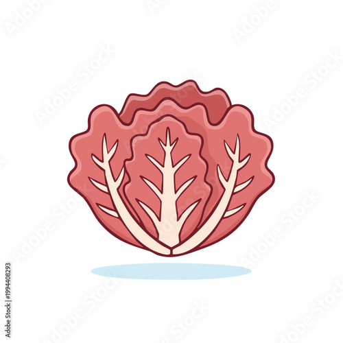 Stylized illustration of a red cabbage vegetable with prominent veins and ruffled leaves