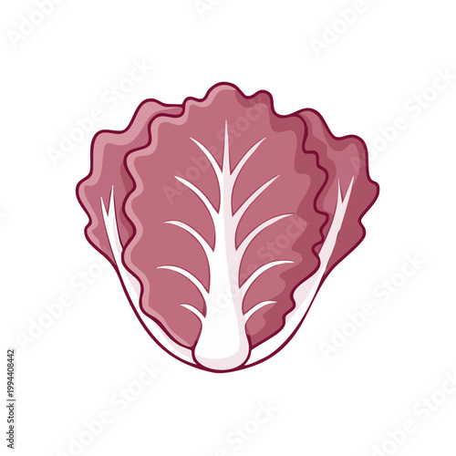 Vibrant Red Leaf Lettuce Vegetable Icon Healthy Food Illustration