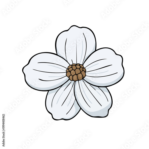 Simple illustration of a single white five petal flower with a brown center