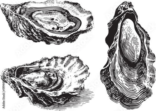 Vector black vintage engraved illustration isolated on a white background