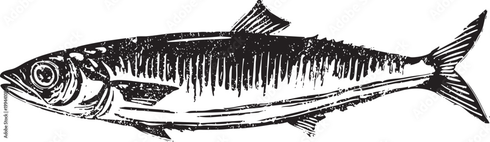 Obraz premium Vector black vintage engraved illustration isolated on a white background