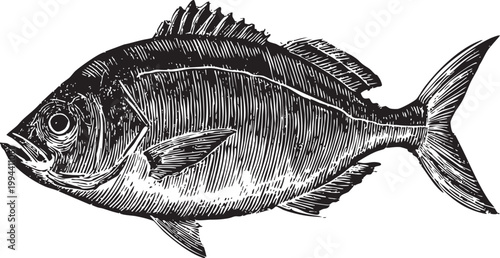 Vector black vintage engraved illustration isolated on a white background