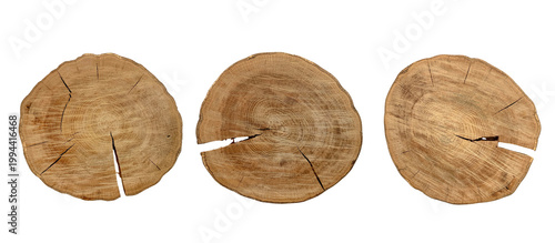 Fotografie Set of natural oak wooden discs showing detailed tree grain and bark on a transp