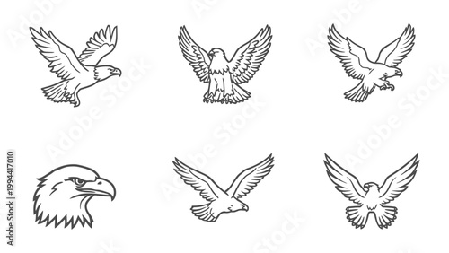 Eagle Illustrations Collection: A meticulously curated assembly of eagle illustrations, each capturing the bird's majestic profile in a variety of dynamic poses. 