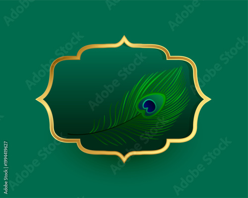 natural peacock feather with golden frame design