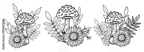 Composition of mushroom with sunflower, rose hips, maple leaves. Botanical vector illustration. Hand drawn in black ink. Outline drawing of fly agaric and berries for seasonal holidays, Thanksgiving.