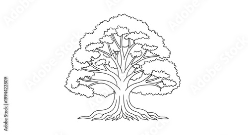 Tree with roots and branches.