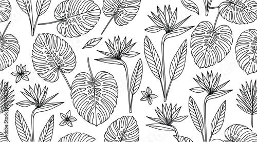 Seamless tropical botanical pattern illustration featuring hand-drawn monstera leaves and bird of paradise flowers in a clean line art graphic design