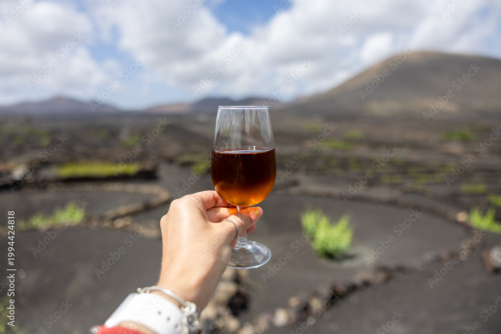Fototapeta premium Hand holding glass of wine in volcanic vineyard Lanzarote