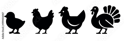 Silhouettes of farm birds vector set