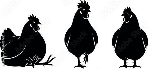 Silhouette Illustration of Three Chickens, Farm Animal Design for Agriculture, Rural, and Poultry Industry Concepts